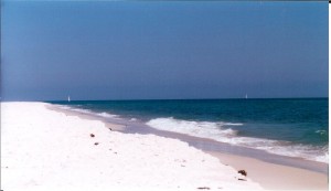 Gulf coast 003